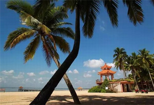 海棠福湾一号买房过冬价格