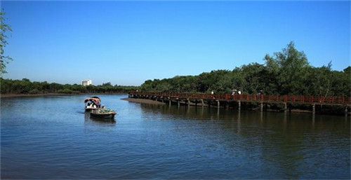 曲靖市夏季值得打卡的地方