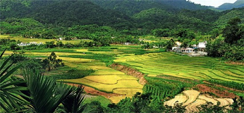 乐安县旅游攻略路线